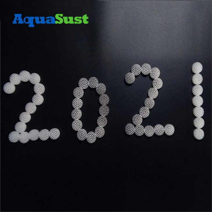 evolution aqua k1 micro media